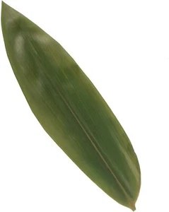 Decoration Bamboo Leaves Vacuum Packed, 12.25 x 3.5 Inches - Picture 1 of 8