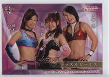2014 BBM True Heart Hikaru Shida Tsukasa Fujimoto Miyako Matsumoto #116