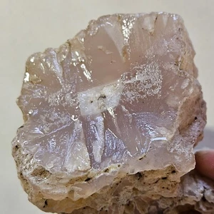 Petrified Wood  Light Pink Chalcedony Texas Springs Nevada 600 Grams - Picture 1 of 15