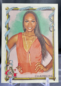Ari Chambers #207 2023 Allen & Ginter - Basketball Reporter