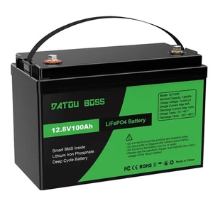 DATOUBOSS Lithium Battry 12V100A200A300A LiFePO4 Akku Rechargeable Solar - Bild 1 von 13