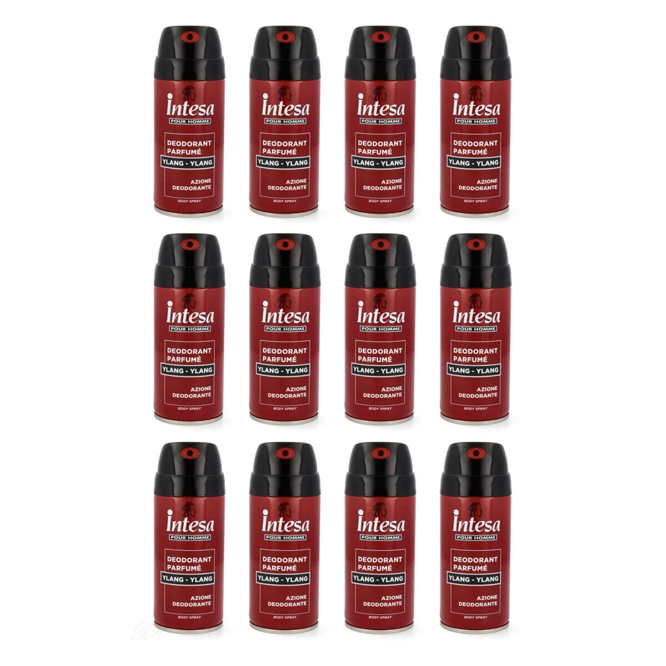 INTESA YLANG YLANG POUR HOMME 12x 150ml Deodorant Deü für Herren