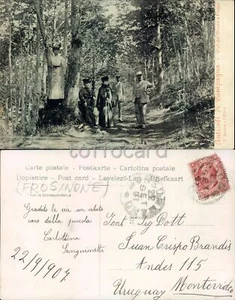 FROSINONE PROVINCIA-ANTICOLI DI CAMPAGNA-VIALI DEL BOSCO A FIUGGI-C32-51 - Imagen 1 de 1