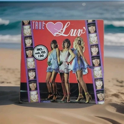 disque 33 tours vinyle Luv' – True Luv' - Photo 1/2
