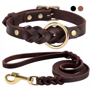 Medium Large Dog Collar and Leash Lead Set Genuine Leather Braided Adjustable - Picture 1 of 17