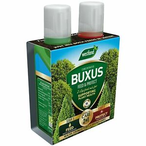 Westland Buxus 2 in 1 Feed & Protect Concentrate, Healthy Plants, 500ml - 2 Pack