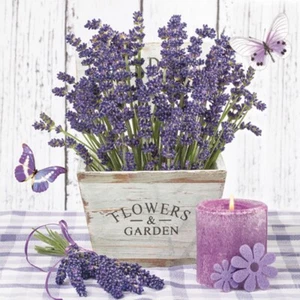 3 Paper Napkins For Decoupage Scrapbooking Craft Lunch Serviettes Lavender Art - Picture 1 of 12