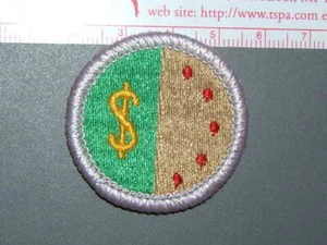 Insignia de Mérito Boy Scout Gestión Personal circa '76-'06 3047M - Imagen 1 de 1