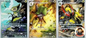 Axew 150/086 Fraxure 151/086 Haxorus 152/086 AR Set Black Bolt Pokemon Card - Picture 1 of 1