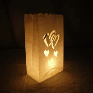 Quasimoon Double Heart Paper Luminaries / Luminary Lantern Bags Path Lighting... - Picture 1 of 3