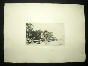 The Bouquet Trees engraving Eau Forte Of Rembrandt Van Rijn Limited 1880 - Picture 1 of 2