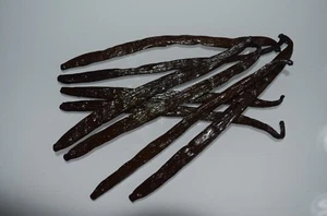 20 Bourbon Vanilla Pods  Madagascar Beans Grade  A 13-17 CM 2023 PREMIUM ORGANIC - Picture 1 of 7