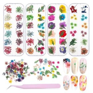 4 Boxes Set Nails Dried Flowers 3D Nail Art Decor Natural Nail Decals W/Tweezers