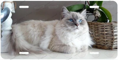 Ragdoll Cat Animal Artwork Personalized License Plate Tag For Car ATV Moped  - Image 1 of 4