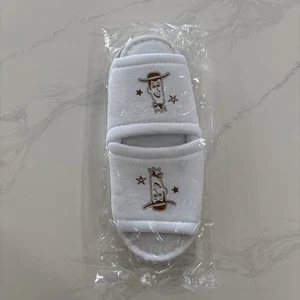1 Paar - Tokyo Disney Resort Toy Story Hotel Woody Andy Hausschuhe NEU VERSIEGELT - Bild 1 von 2