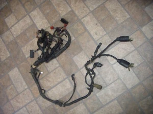 Honda Goldwing GL1200 Main Wire Harness - Imagen 1 de 2