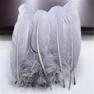 Wholesale Hard pole Natural Goose Feathers for crafts plumes 5-7inch/13-18cm - Picture 1 of 22