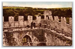 Blarney Castle Cork Ireland UNP DB Postcard L20 - Picture 1 of 2
