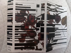 JH1.FS3 Silence.DOM cassette 2015 Puce Mary Jesse Sanes Frederikke Hoffmeier - Bild 1 von 3