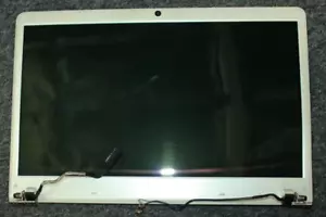 Genuine Sony Vaio VPCEH VPCEH13FX 15.6" LCD Screen Assembly Complete - Picture 1 of 3