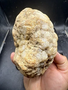 Fossilized Indiana Geode Quartz Crystal Whole 7,685 Carats Agate - Picture 1 of 5