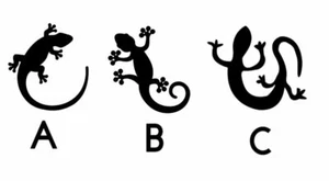Calcomanía de coche troquelada de vinilo animal lagarto diferente "Estilos ""tú eliges" - Imagen 1 de 2