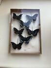 Vintage Butterfly Decorations Clip On 3D Butterflies Wall Decor DIY HomArt  7 Pc