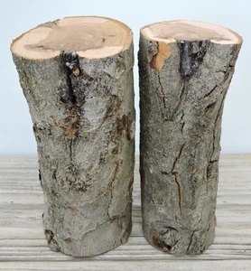 2 Apple Wood Stick Log Chunk Carving Blank Crafts Healed-over 2 1/8~2 5/8"D 6"L - Picture 1 of 13