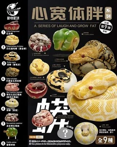 Animal Planet 09 Snake Blind Box Model Ball Python Emerald Tree Boa Figure Toys - Picture 1 of 33