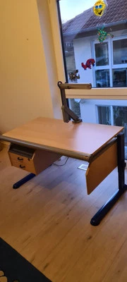 Moll Schreibtisch + Rollcontainer + Stuhl, Höhenverstellbar, Gut erhalten - Bild 1 von 4