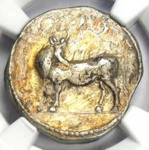 Greek Lucania Laus AR Stater Man-Headed Bull Coin 480-460 BC - Certified NGC VF - Picture 1 of 5