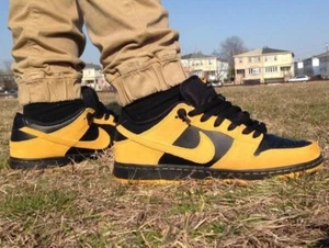 Nike SB Dunk Low Pro “Iowa” 2015 University Gold/Black - Men’s Size 9.5 NEW - Picture 1 of 20