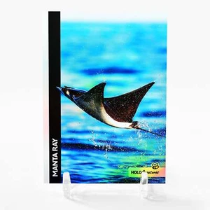 MANTA RAY Card 2023 GleeBeeCo Flying High Holographic #M551 - Picture 1 of 2