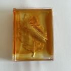 Royal Red Art Studio Amber Crystal Signed Effect Cicada Paperweight