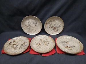 Antique Japanese pottery plates seto plates Set of 5 Shino Glaze Edo Period - Picture 1 of 24