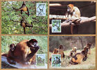 Y141 MONKEY WWF HONDURAS SET OF 4 MAXIMUM CARD