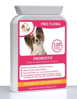 CROSSWAY COTTAGE NATURAL PET REMEDIES Dog Probiotic Natural Digestive Support for Dogs - Helps Bad Tummy