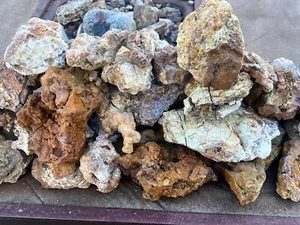 WoW! Madera petrificada $4 por 2 libras especímenes ásperos opalizado agatizado a granel - Imagen 1 de 2