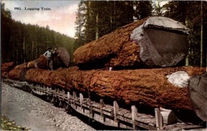 Vintage Postcard Logging Train 1930 E-571 - Imagen 1 de 2