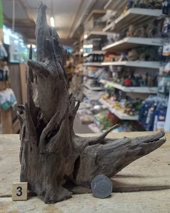 Small/Medium Corbo Root Aquarium Bogwood Vivarium Root Fish Tank Driftwood - Picture 1 of 12