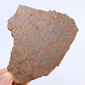 51g Chondrit Meteoritenscheibe, NWA nicht klassifizierter Meteorit, aus Nordwesten AB347 - Bild 1 von 8