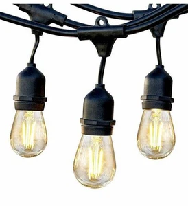 Brightech Ambience Pro Edison Black LED Waterproof Outdoor String Lights, 48 Ft. - Picture 1 of 2