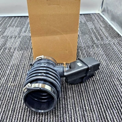 Manguera de admisión de aire Dorman 696-039 para Nissan Murano 2009-2011 3,5 L V6 2010 Foto 1 de 4