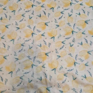 Modern Baby Lemon Teal Blanket Reversible Fruit White Polkadot Blue Plush 34x29 - Picture 1 of 7