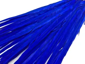 50 Stck. 18-22 Zoll Mitternachtsblau Ringhals Fasanschwanz Großhandel Federn Lieferant - Bild 1 von 6