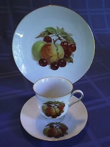 Taza de té, platillo, juego de platos vintage Bareuther Waldsassen Bavaria ~ fruta 122, 121 - Imagen 1 de 3