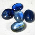 17.65 Ct Natural Blue kynite Oval Cabochon Lot Loose Gemstone
