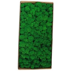 Konserviertes Moos Wanddekoration Echtes konserviertes Moos Keine Wartung N9T1 - Bild 1 von 9