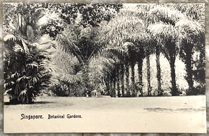 Singapore Botanical Gardens Wilson & Co. Staits Settlements DB Postcard B611 - Picture 1 of 3