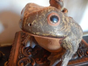 FROG - Mother & Baby - ANTIQUE - Terra Cotta - 6" x 8" - Tailless Amphibians - Picture 1 of 8